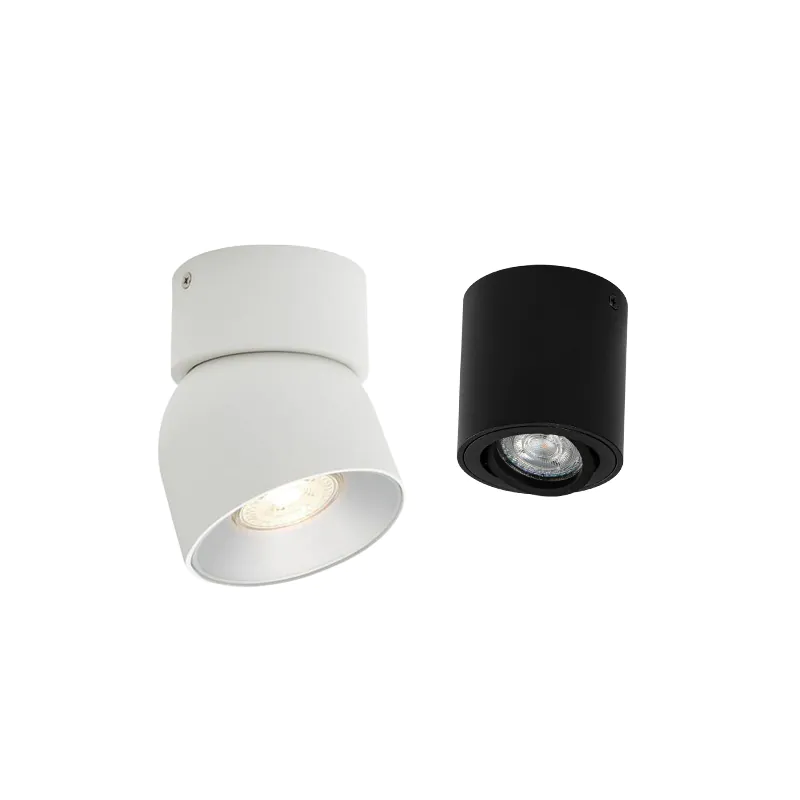 1 Spot Ceiling Light