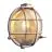 Nordlux Polperro Wall Light Glass Satin Nickel | 195mm - IP64 - Suitable for E27