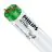 Philips MASTER TL-D Actinic BL 15W - Ultraviolet | 44cm